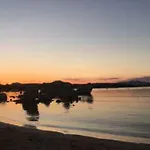 Marineledda