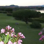Marineledda Отель