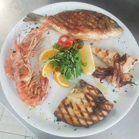 Marineledda * ゴルフォ・アランチ